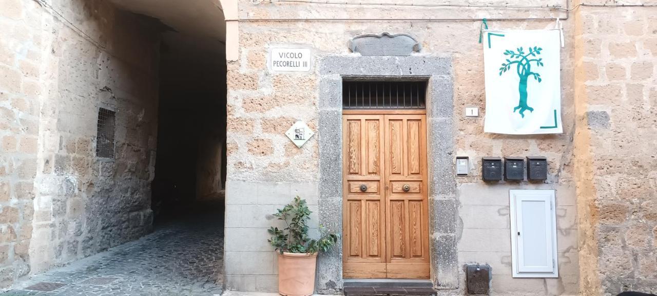 شقة La Casa Di Agnese أورفييتو المظهر الخارجي الصورة